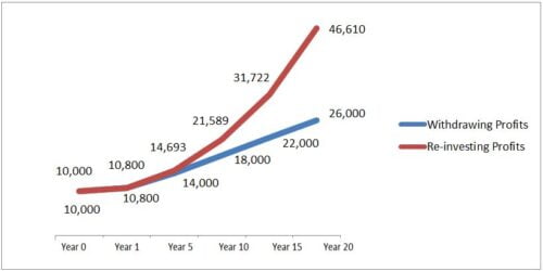 investing dividend vs withdrawing dividends