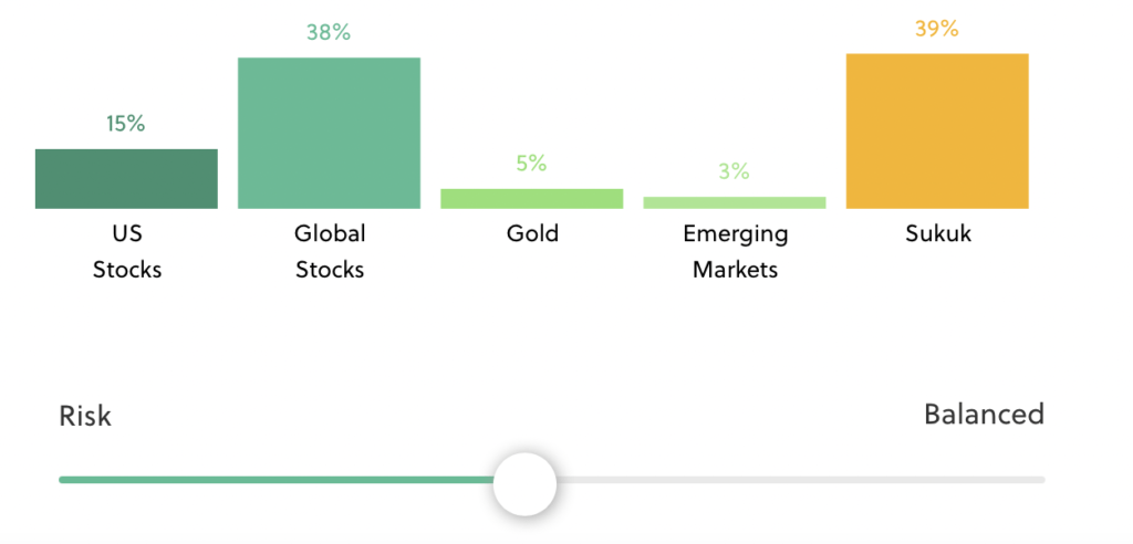 Sarwa halal portfolio